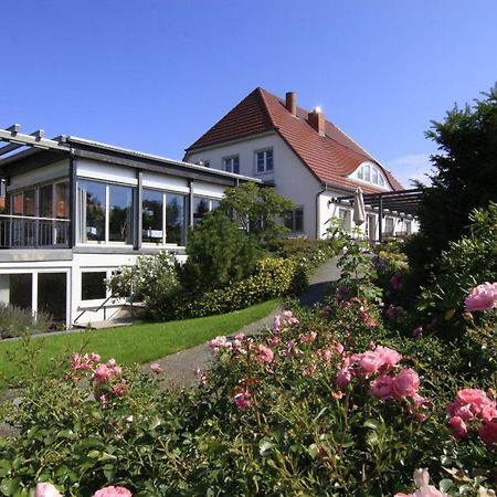 H.W.S. Hotel Der Wilde Schwan Sagard Exterior foto