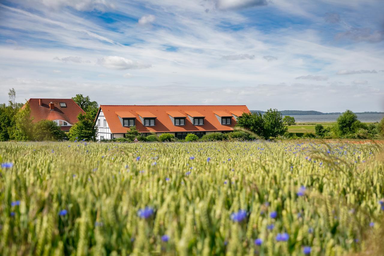 H.W.S. Hotel Der Wilde Schwan Sagard Exterior foto